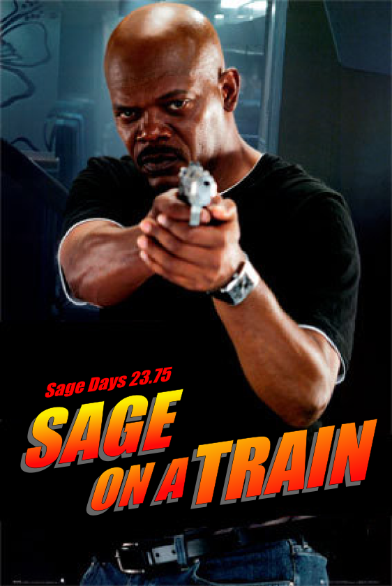 sage-on-a-train.png